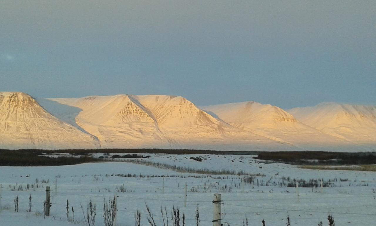 Glaesibaer 2 Guesthouse And Horsefarm Akureyri Eksteriør bilde