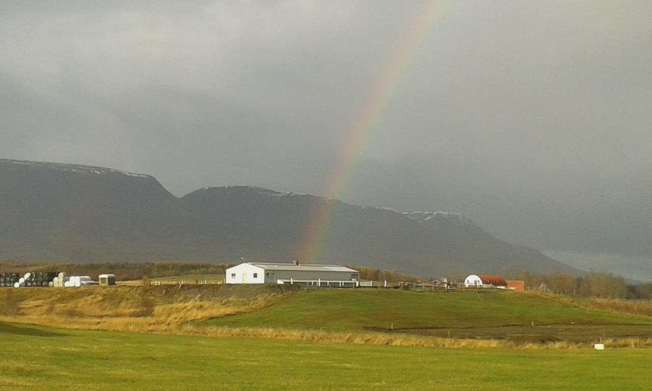 Glaesibaer 2 Guesthouse And Horsefarm Akureyri Eksteriør bilde