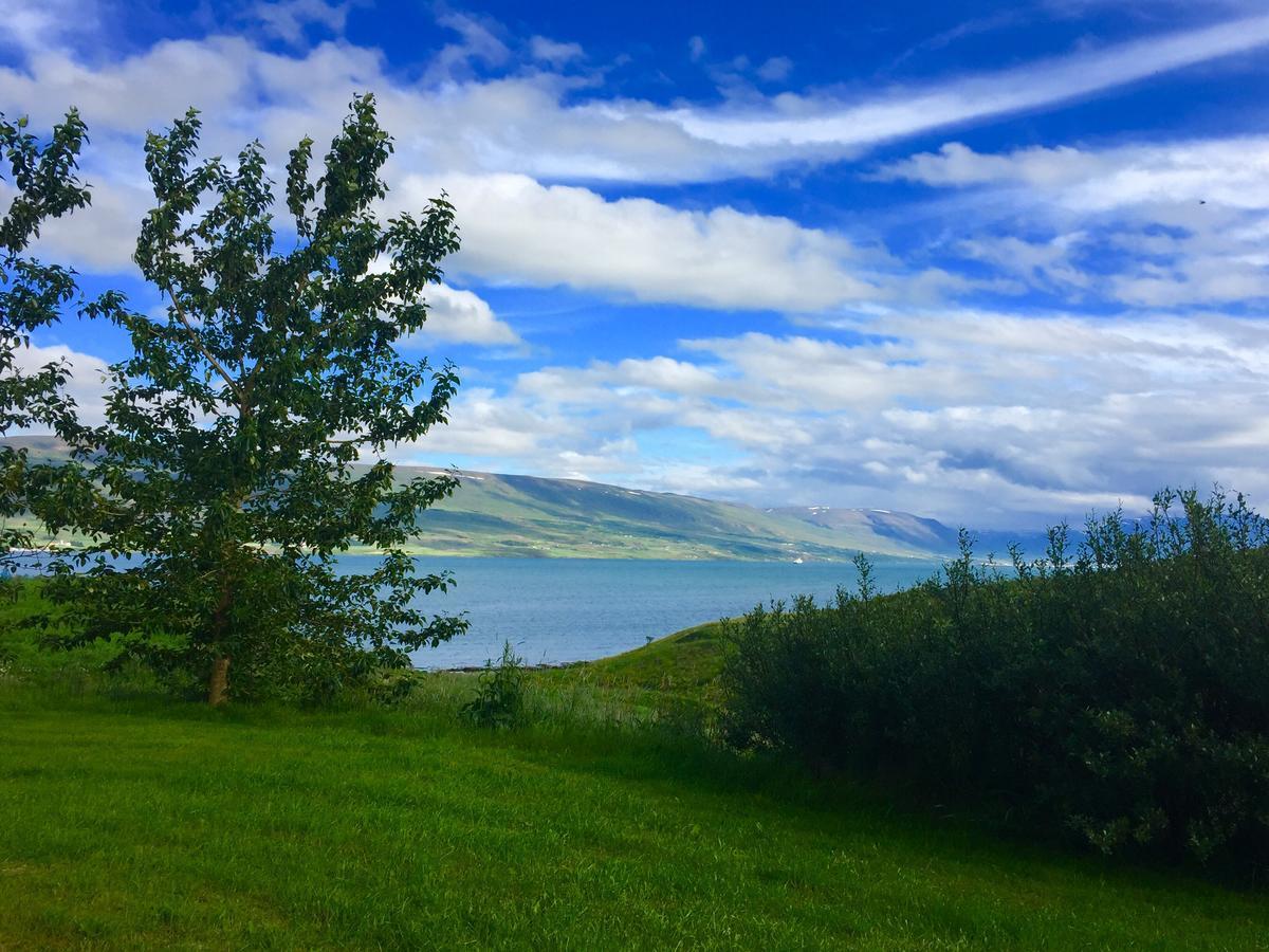 Glaesibaer 2 Guesthouse And Horsefarm Akureyri Eksteriør bilde